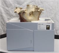 Image of a partial blue board box with lid removed to reveal the top half of a ceramic object stored within. 